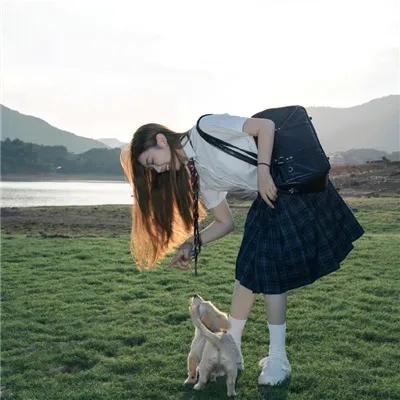 东风送春归