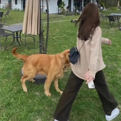 灰烬之人